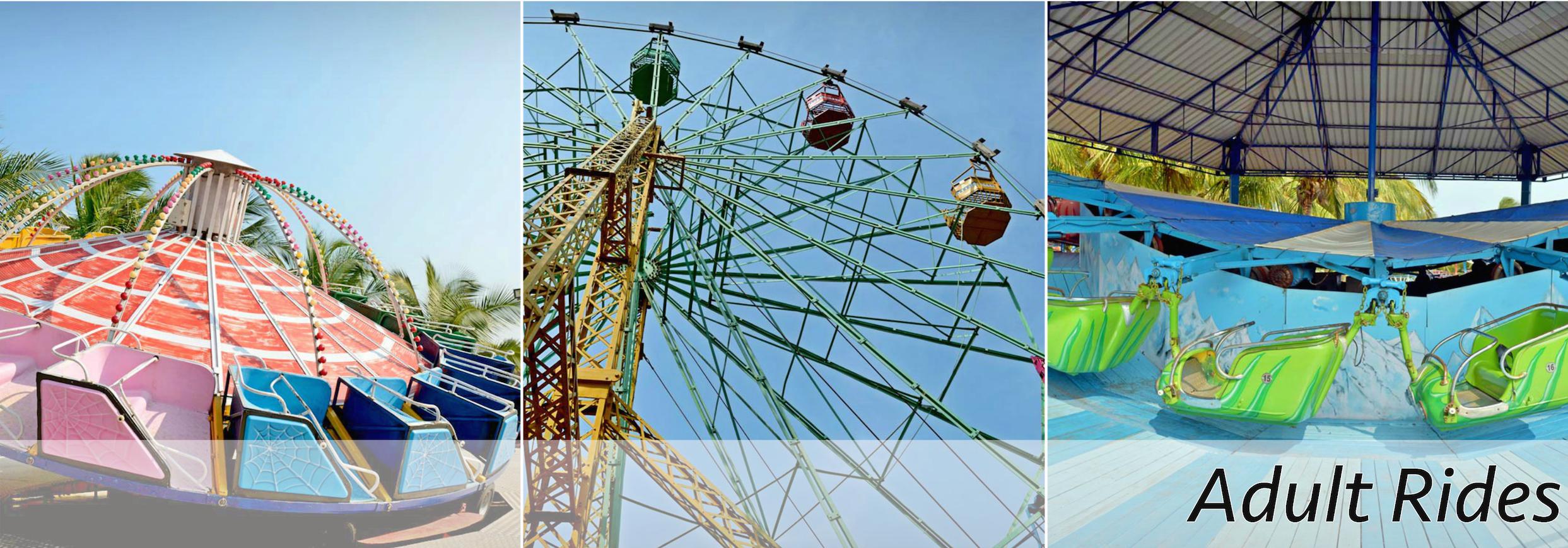 adult rides at mgm dizzee world.jpg