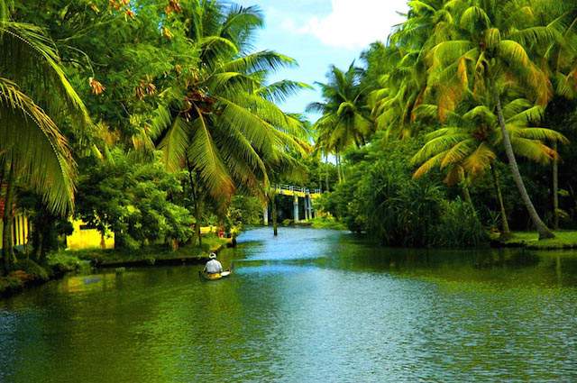 Backwaters-of-kerala.jpg