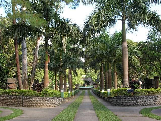 cole-park-assam.jpg