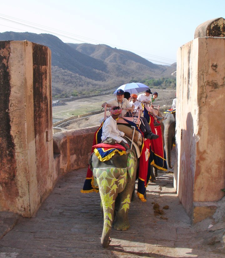 elephant ride.jpg