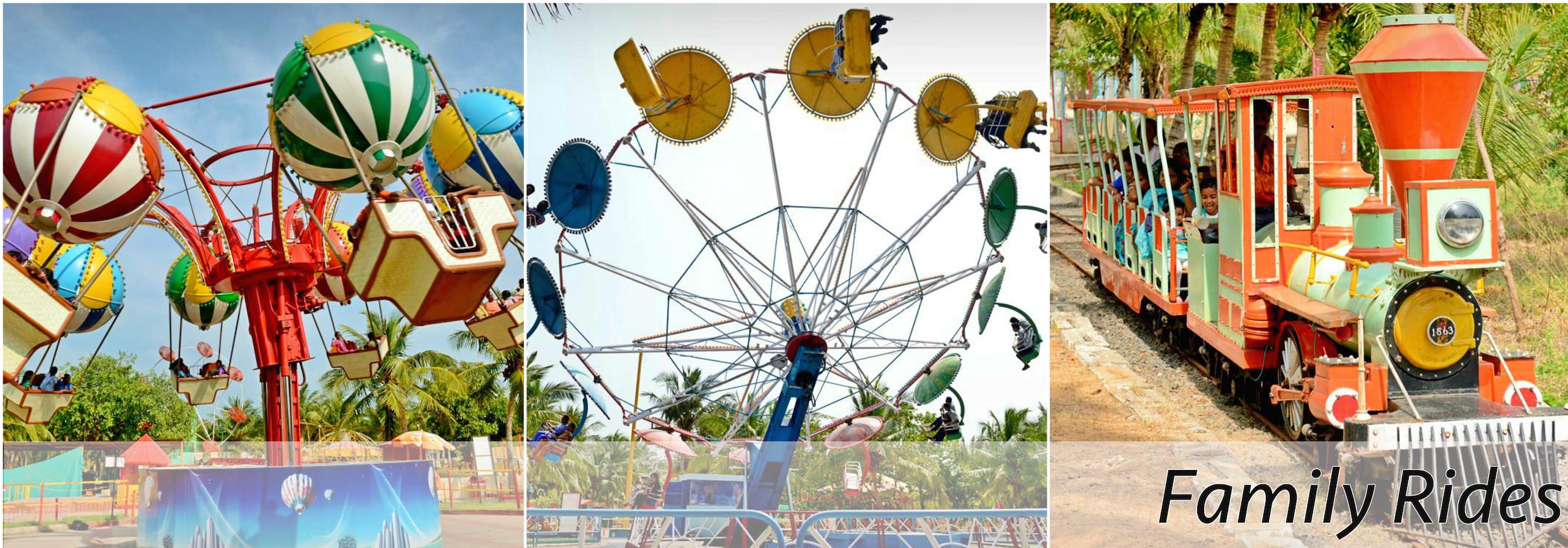family rides mgm.jpg