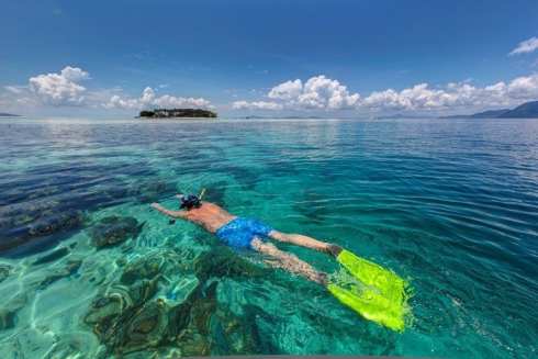 G.Scuba-Diving-Lakshadweep-490x327.jpg