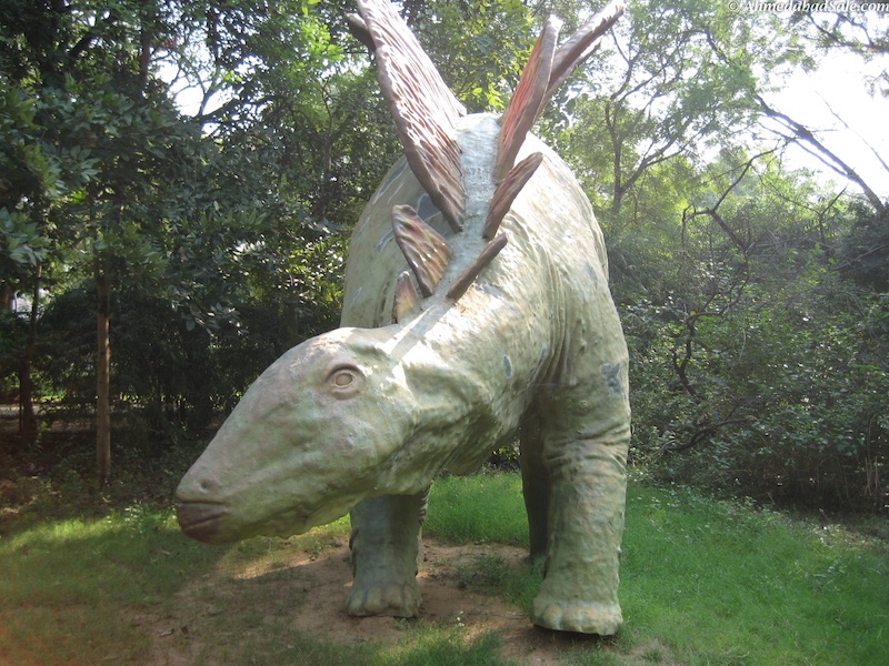 Indroda-Nature-Park.jpg