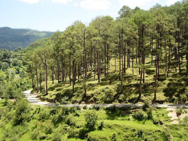 Kausani​.jpg