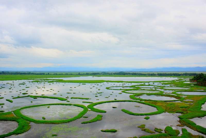 Keibul-Lamjao-National-Park.jpg