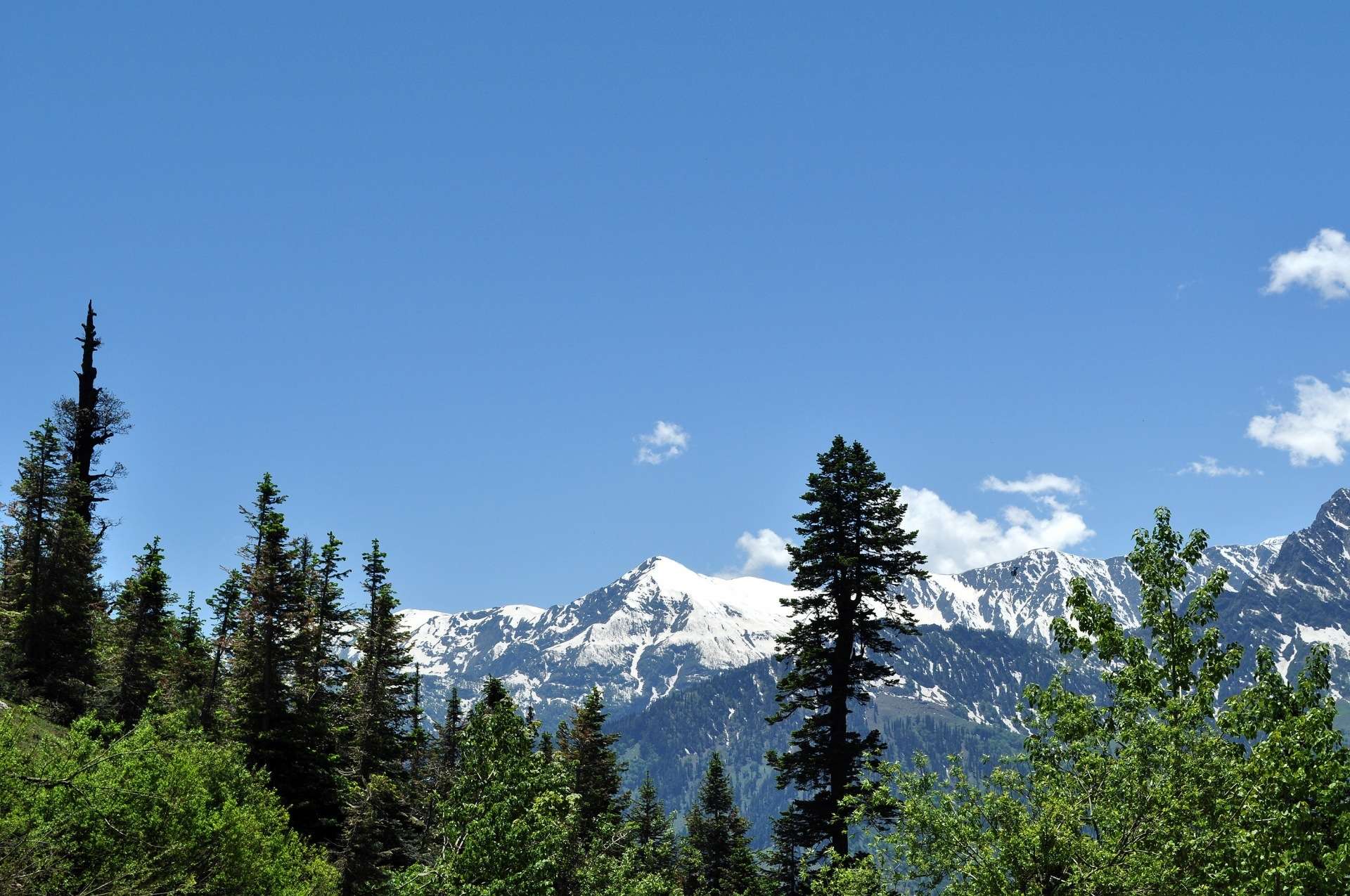 mussoorie-mountains.jpg
