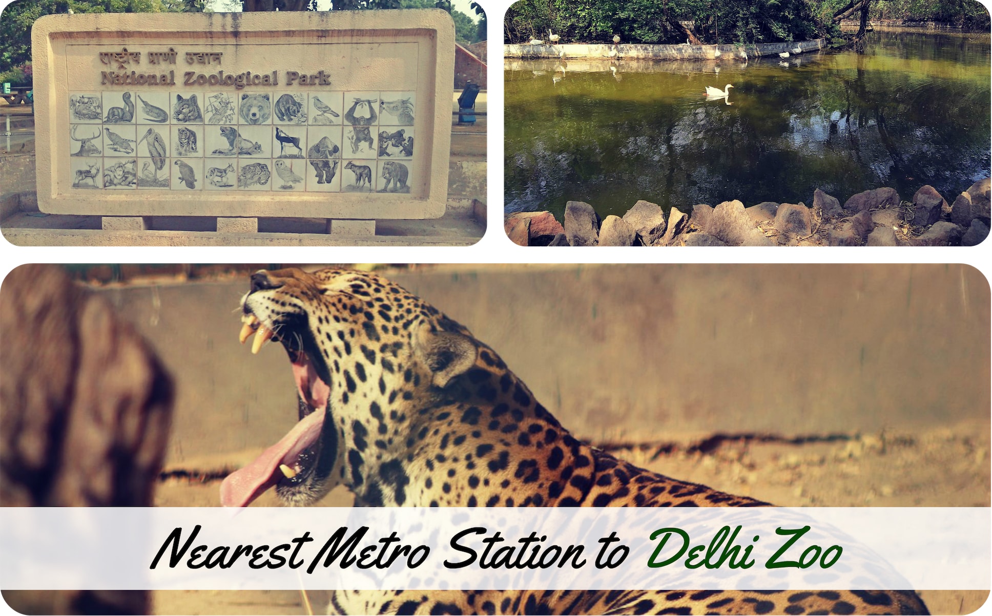 Nearest-Metro-Delhi-Zoo.jpg