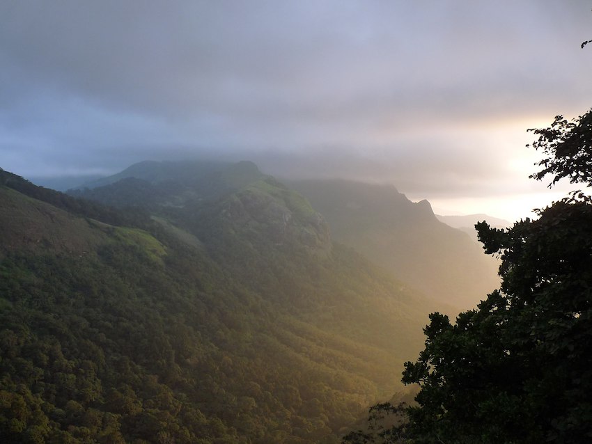 Nelliyampathy.jpg