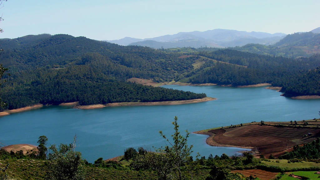 ooty.jpg