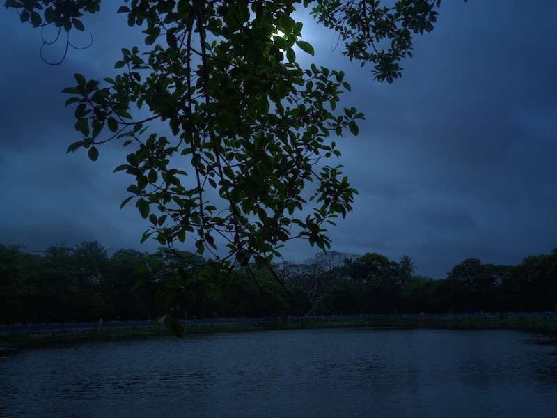 Rabindra-Sarobar-Lake-haunted-kolkata.jpg