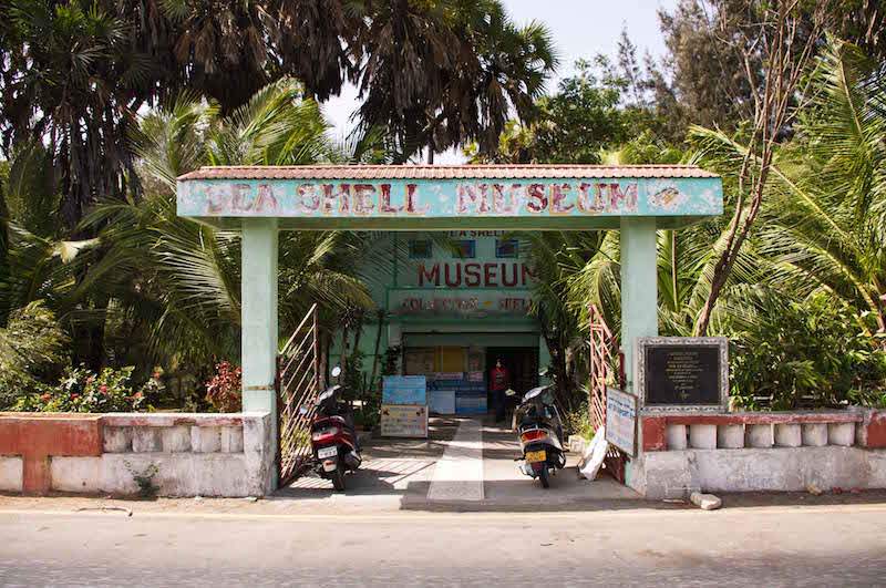 Seashell Museum Diu.jpg
