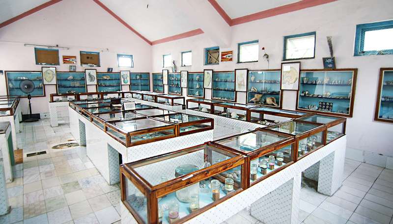 Shell Museum.jpg