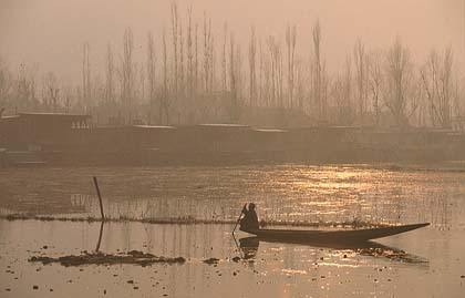 shikara at dal lake.jpg