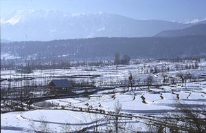 snow-padi-field-gulmarg.jpg