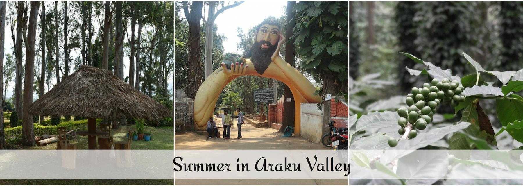 summer-in-araku-valley.jpg