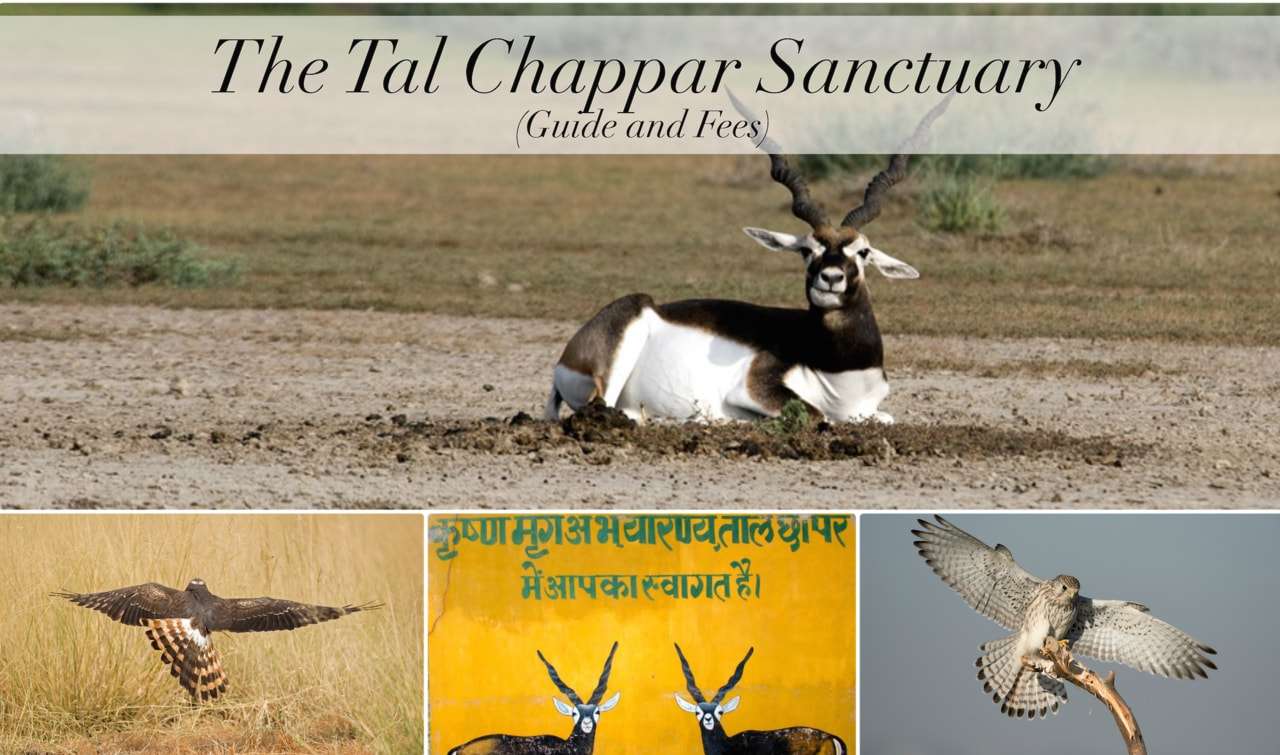 Tal-chappar-sanctuary.jpg