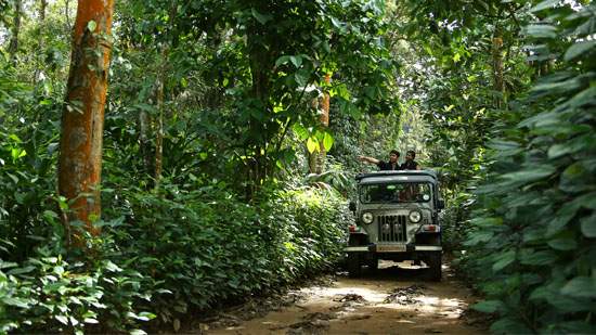 Thekkady-in-Kerala​.jpg