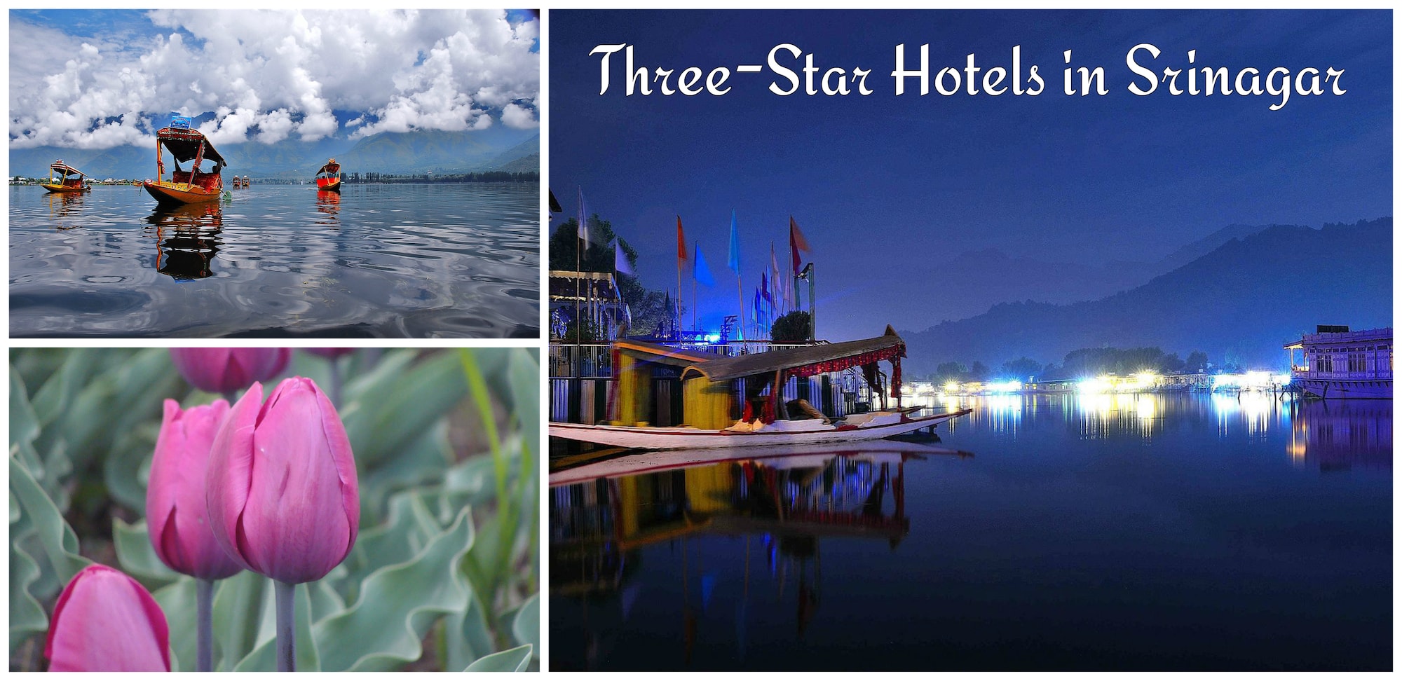 Three-Star-Hotels-Srinagar.jpg