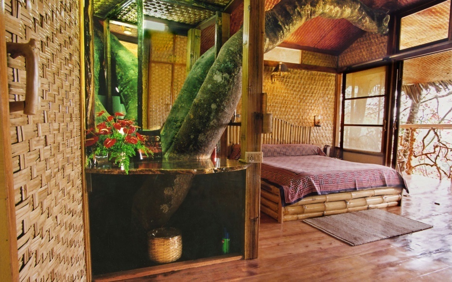 treehouse-hotels-tranquil-resort.jpg
