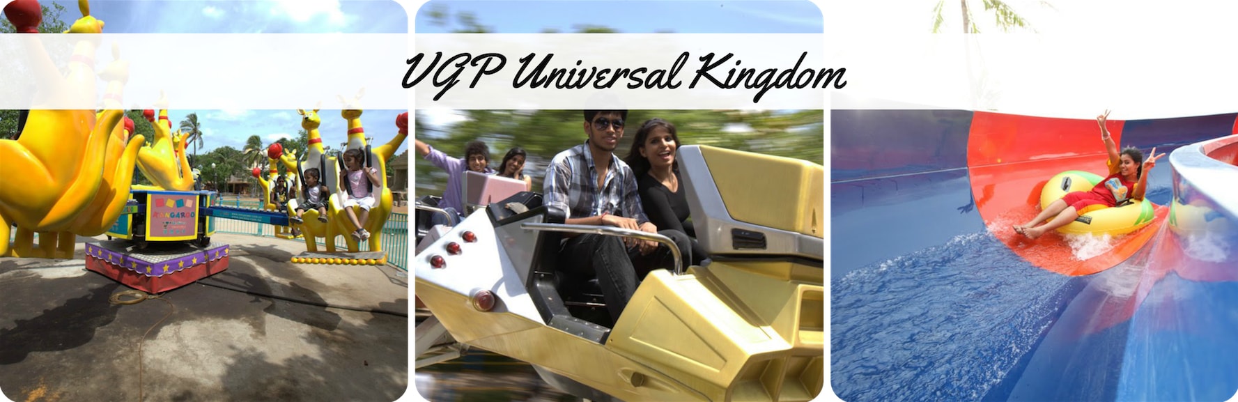 VGP.jpg