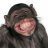 Talking Monkey