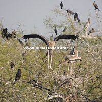 DSCN0353