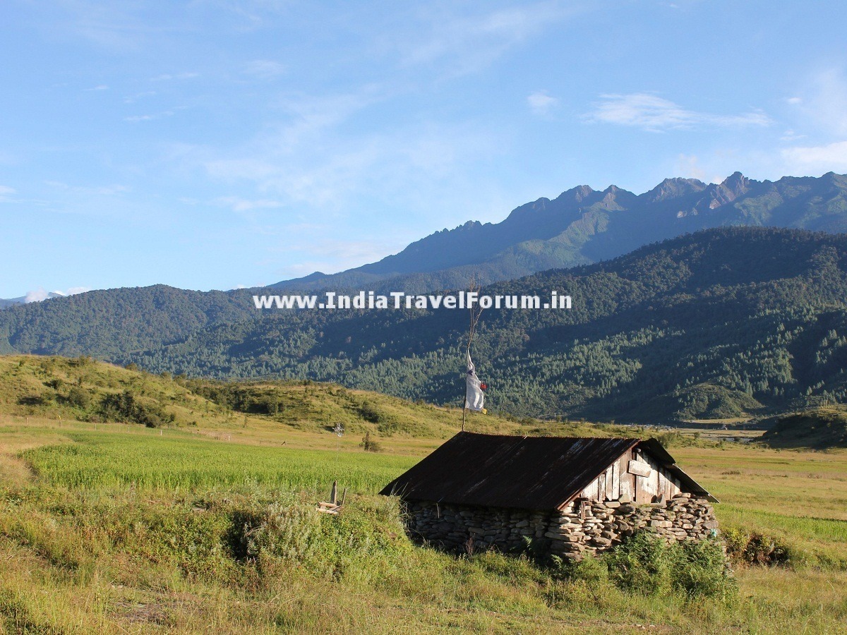 Another View Of Ziro Valley - Image Copyright @ NEWiki