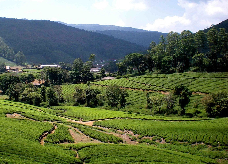Beautiful Meghamalai
