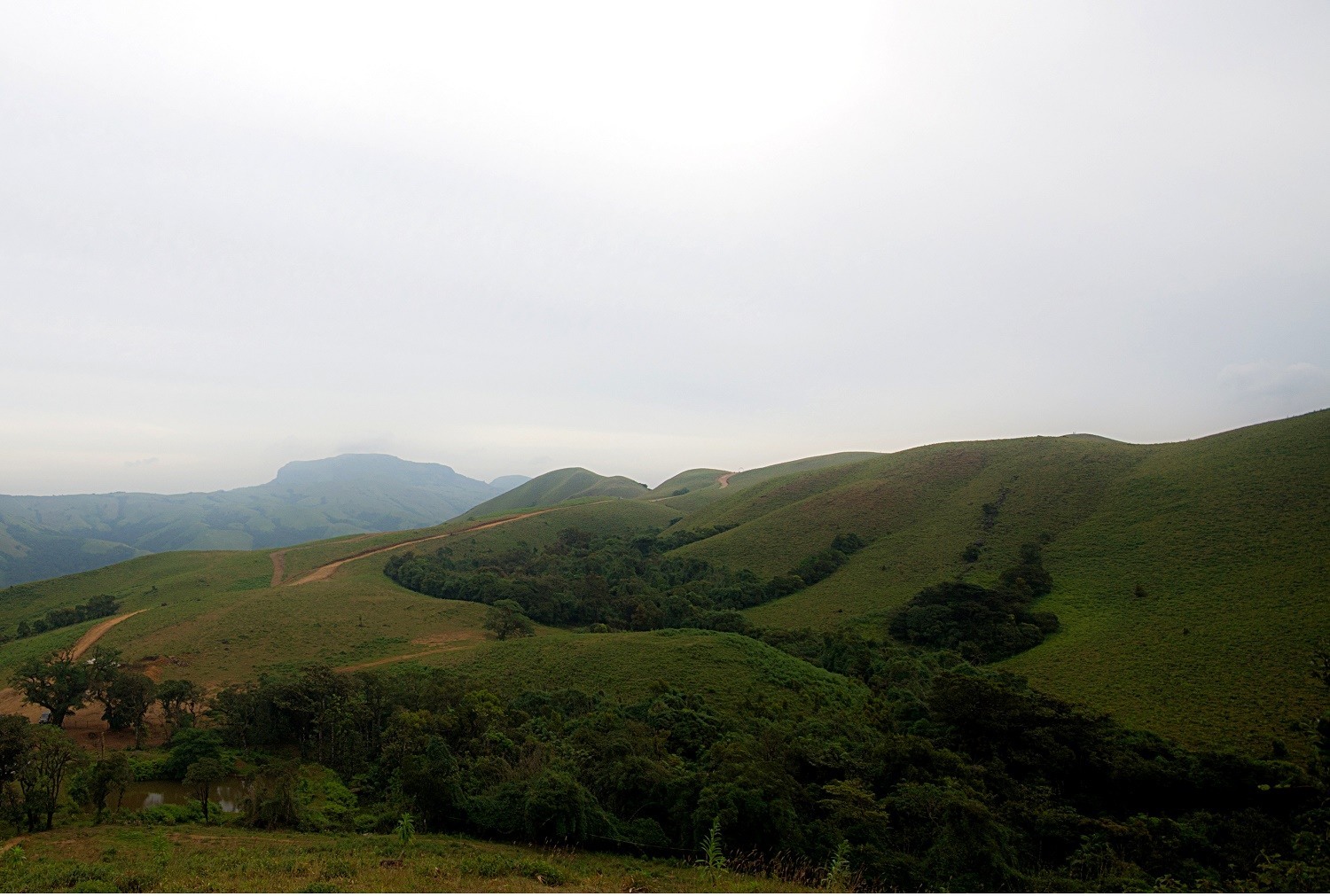 Coorg Landscape - Image Credit @ Wikimedia Commons