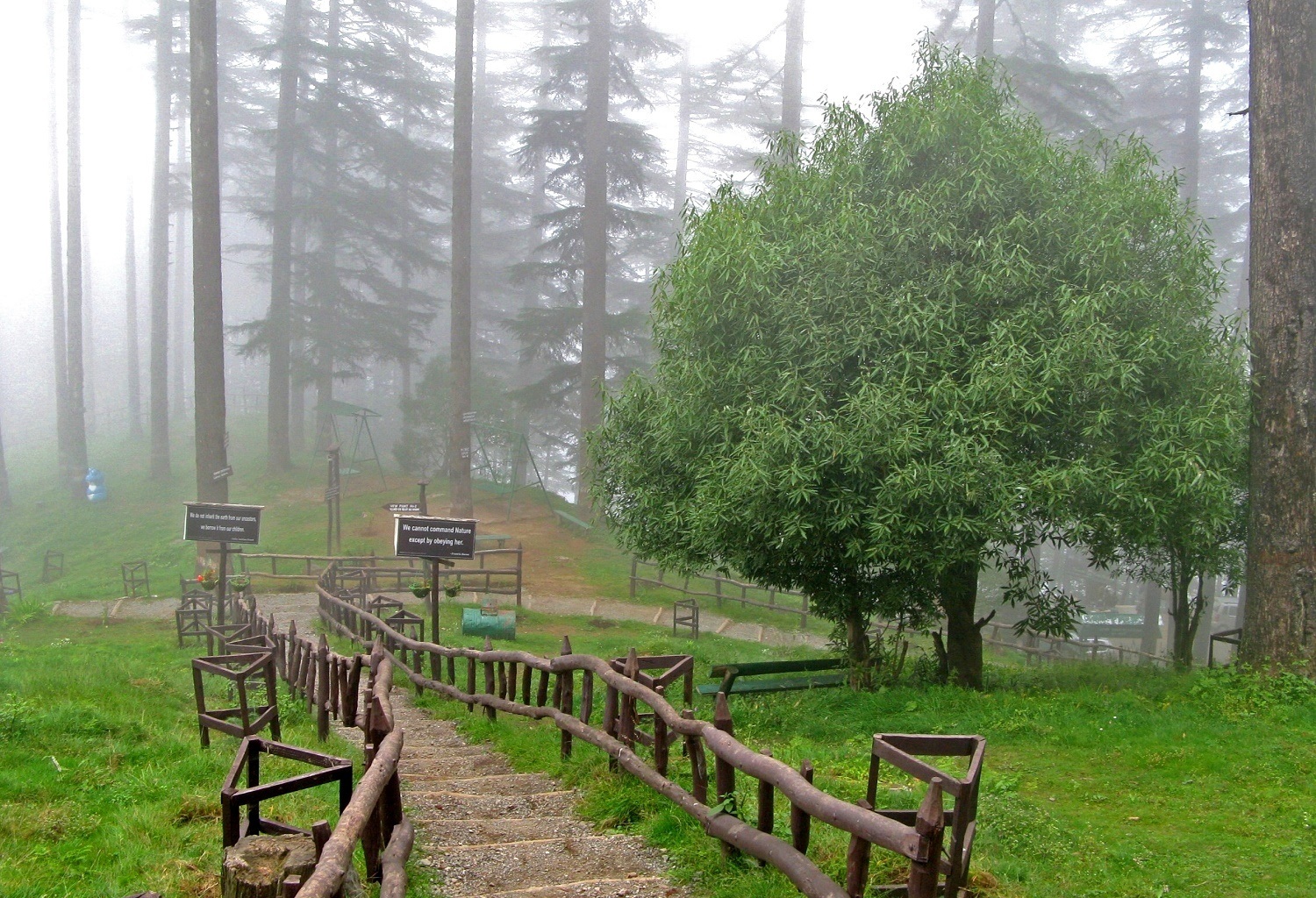 Dhanaulti - Image Credit @ Wiki