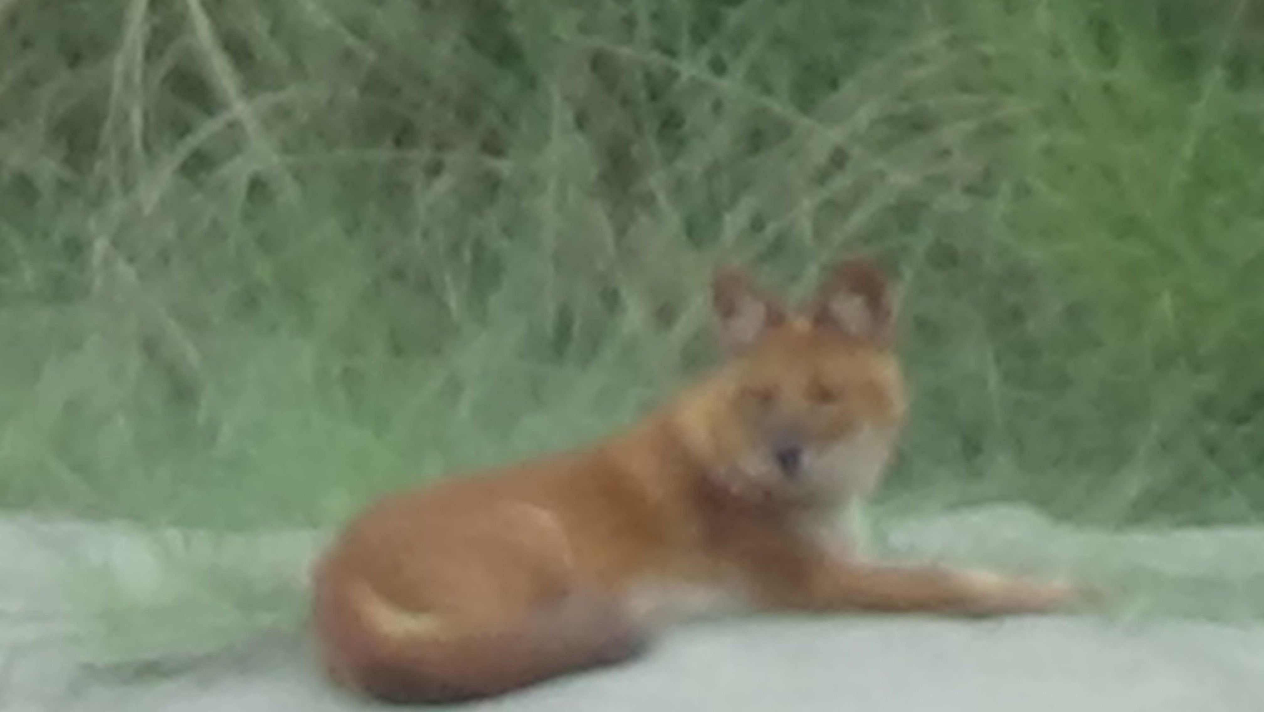 DSC01448