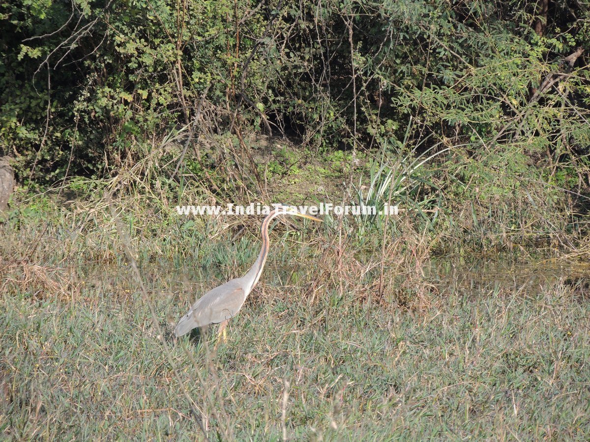 DSCN0275