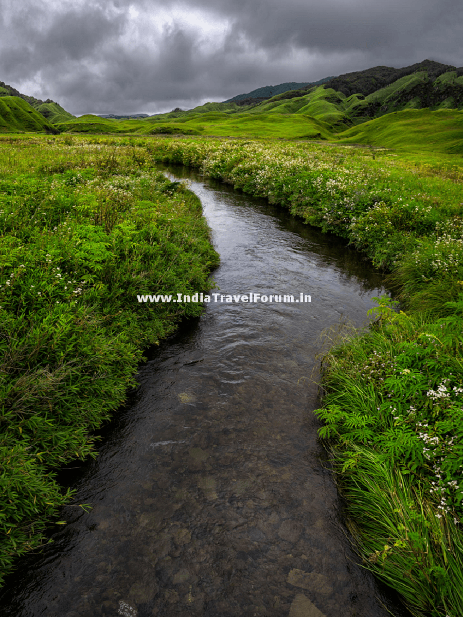 Enchanting Dzulekie Stream Image Copyright @ Dhrubajyoti Deb