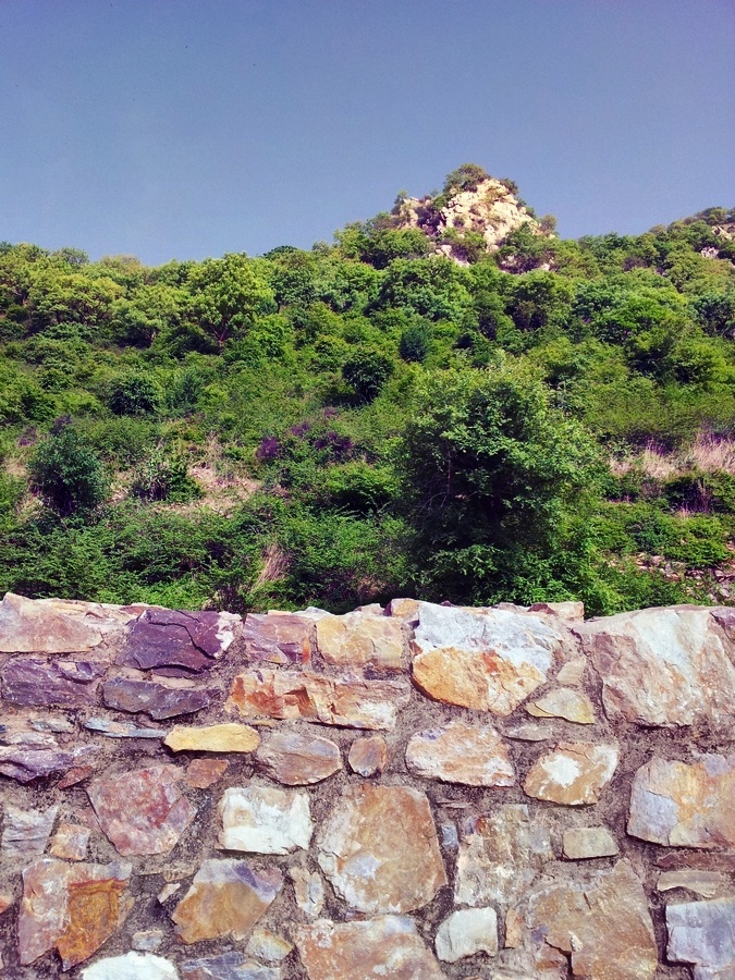 Hills surrounding Bhangarh fort