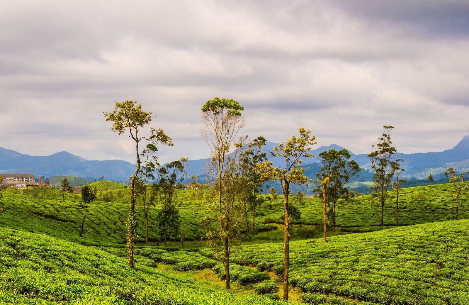 Valparai