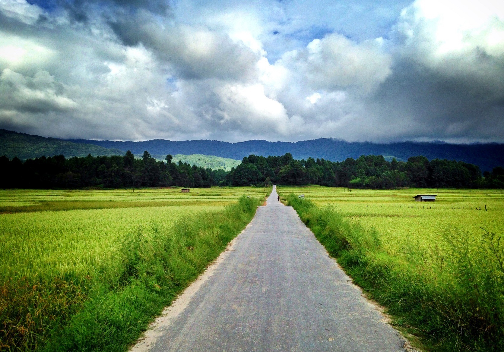 Ziro Valley